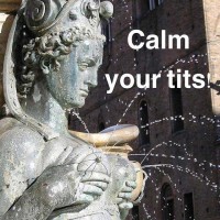 calm your tits meme