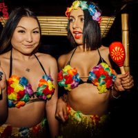 Hawaiian Tiki Topless Waitress Hula Girls